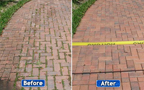 pathway before and after